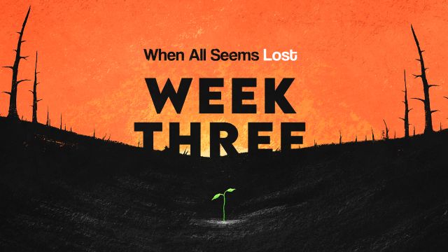 Week Three