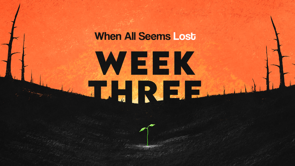 When all Seems Lost - Week Three
