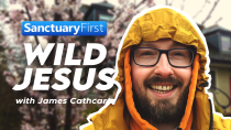 Wild Jesus - New Theme