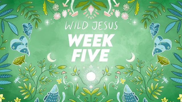 Week Five