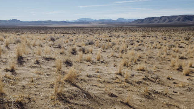 wilderness_desert_hills_unsplash