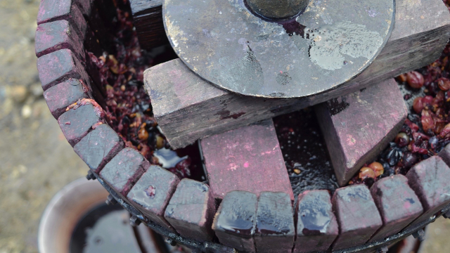 wine_press_grapes