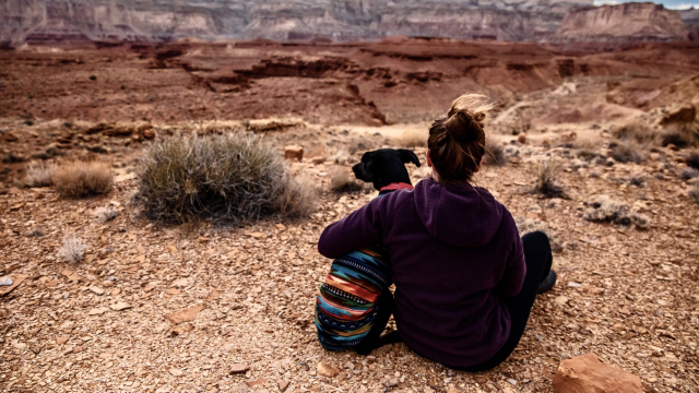 woman_dog_desert_unsplash