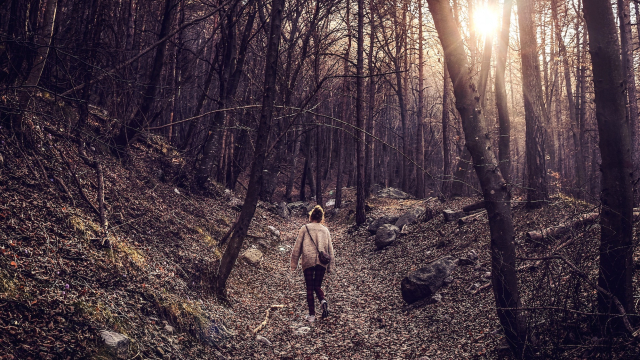 woman_walking_woods_unsplash