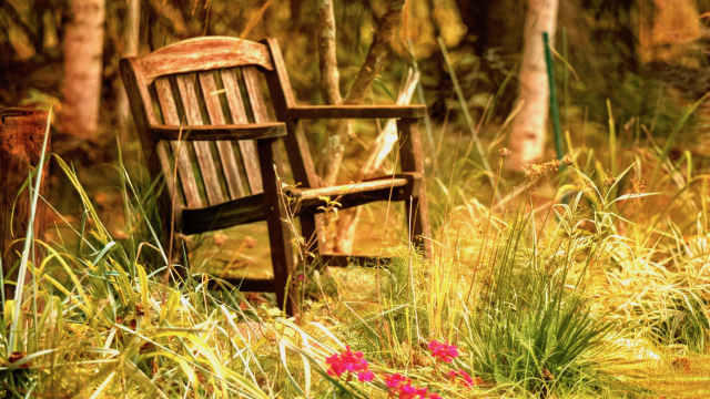 wooden_seat_grass_unsplash