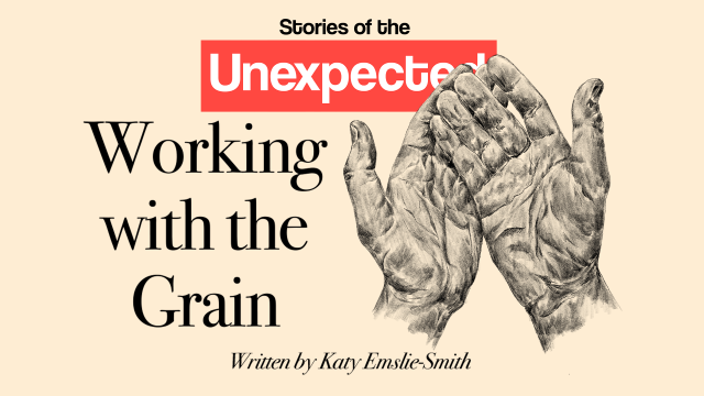 Working with the Grain by Katy Emslie-Smith