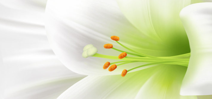 Bereavement