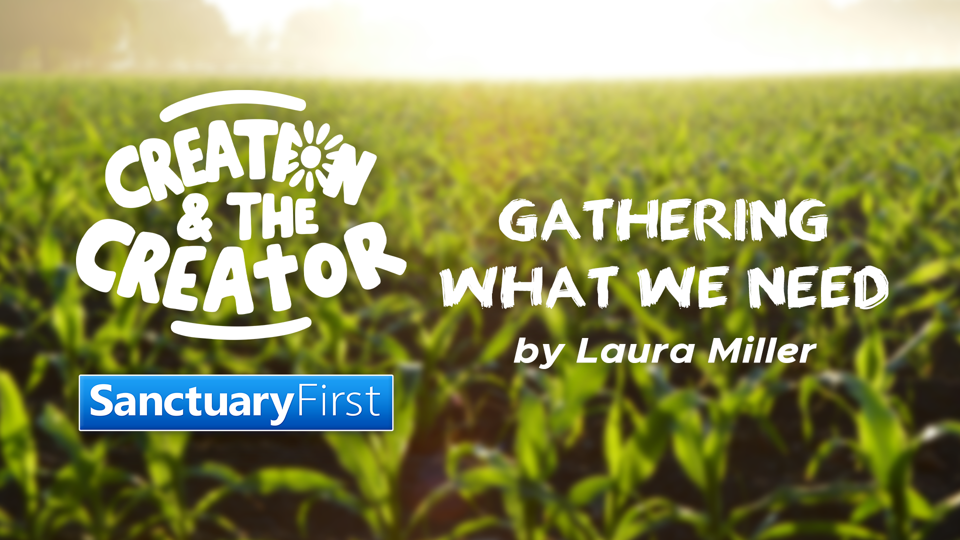 Creation & The Creator: Gathering what we need! 