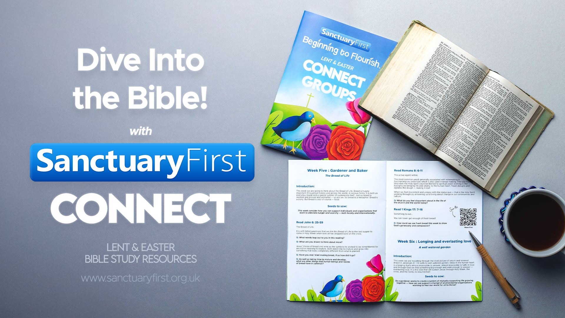 Dive Into The Bible with Connect!