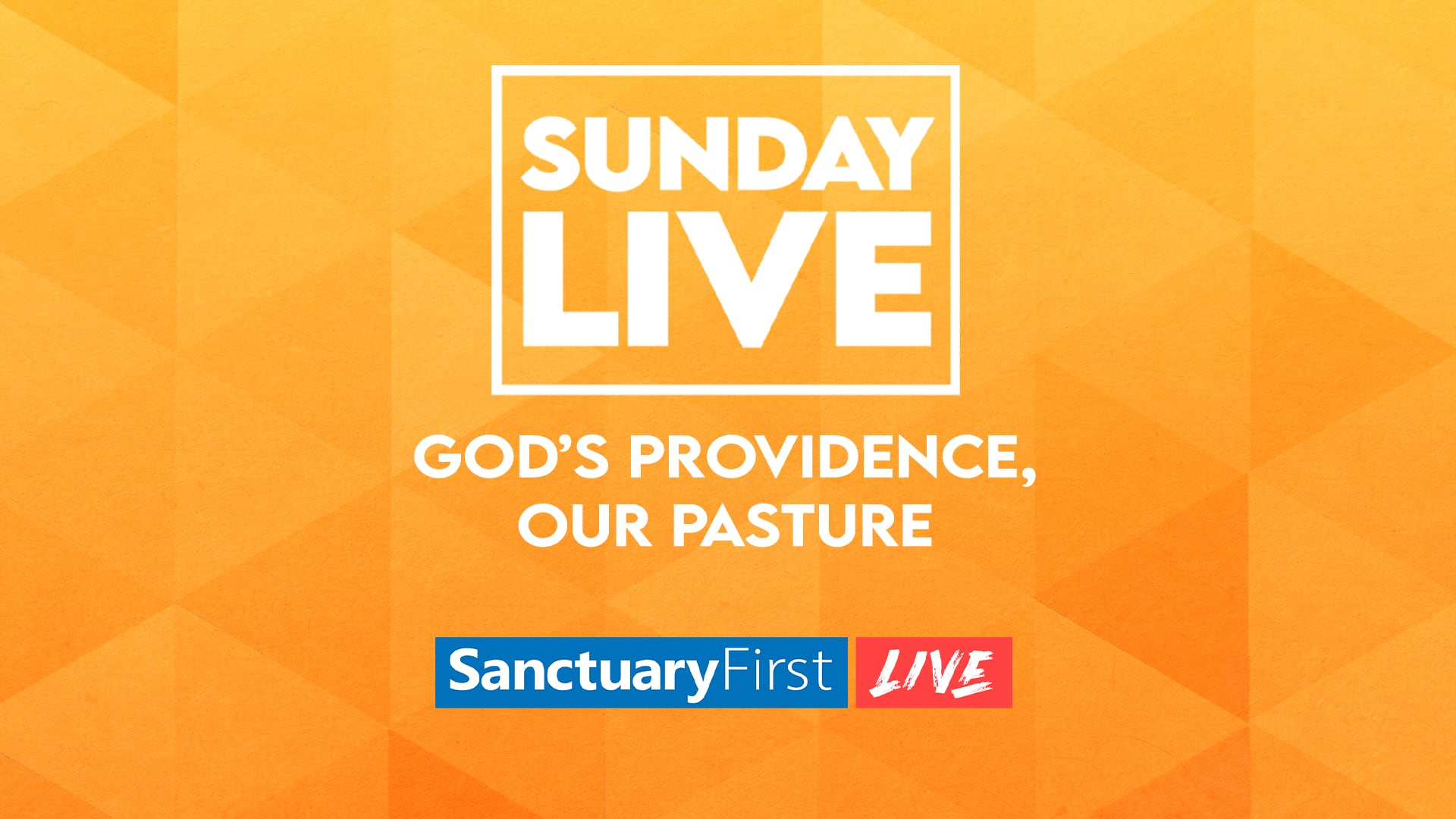 Sunday Live - God’s Providence, Our Pasture