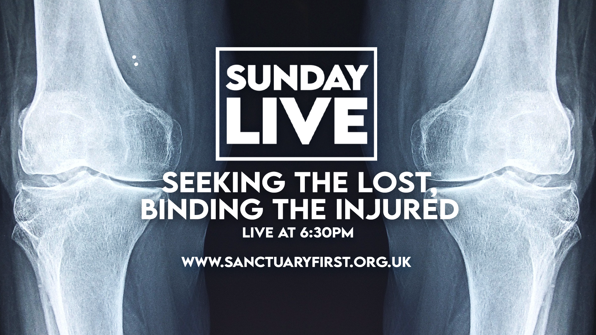 Sunday Live - Seeking the lost