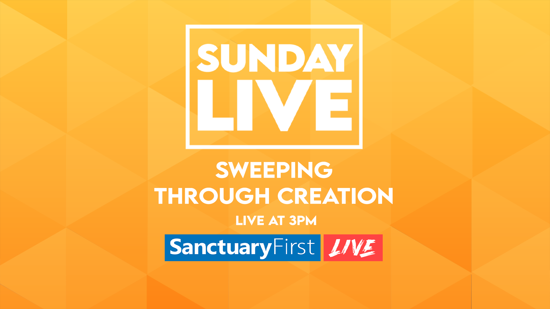 Sunday Live - Striving and Persevering