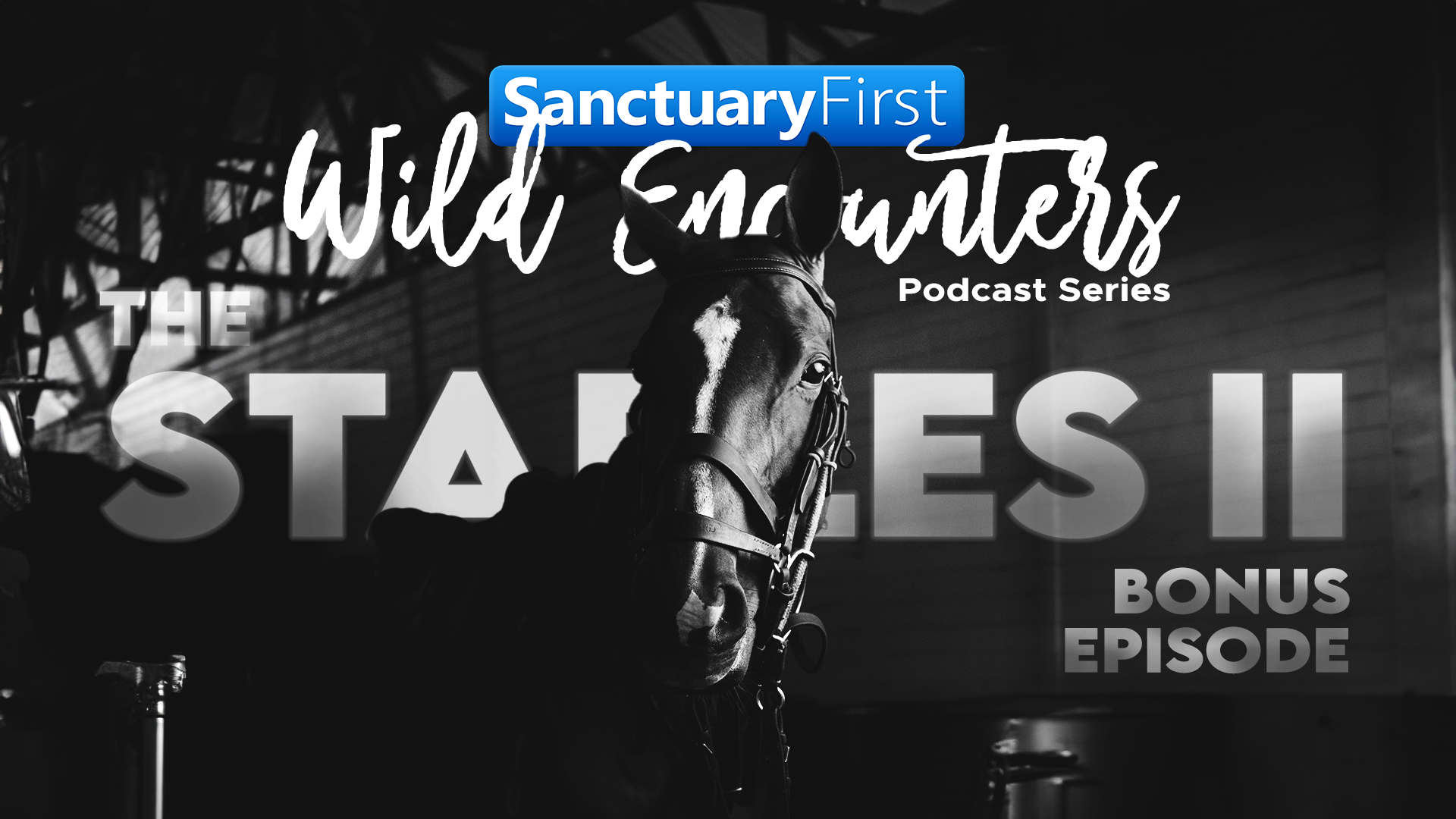 Wild Encounters: Stables II (Bonus Episode)